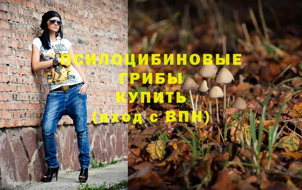 шишки Алексин
