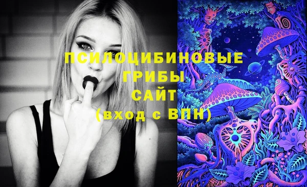 амф Алзамай