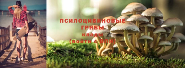шишки Алексин